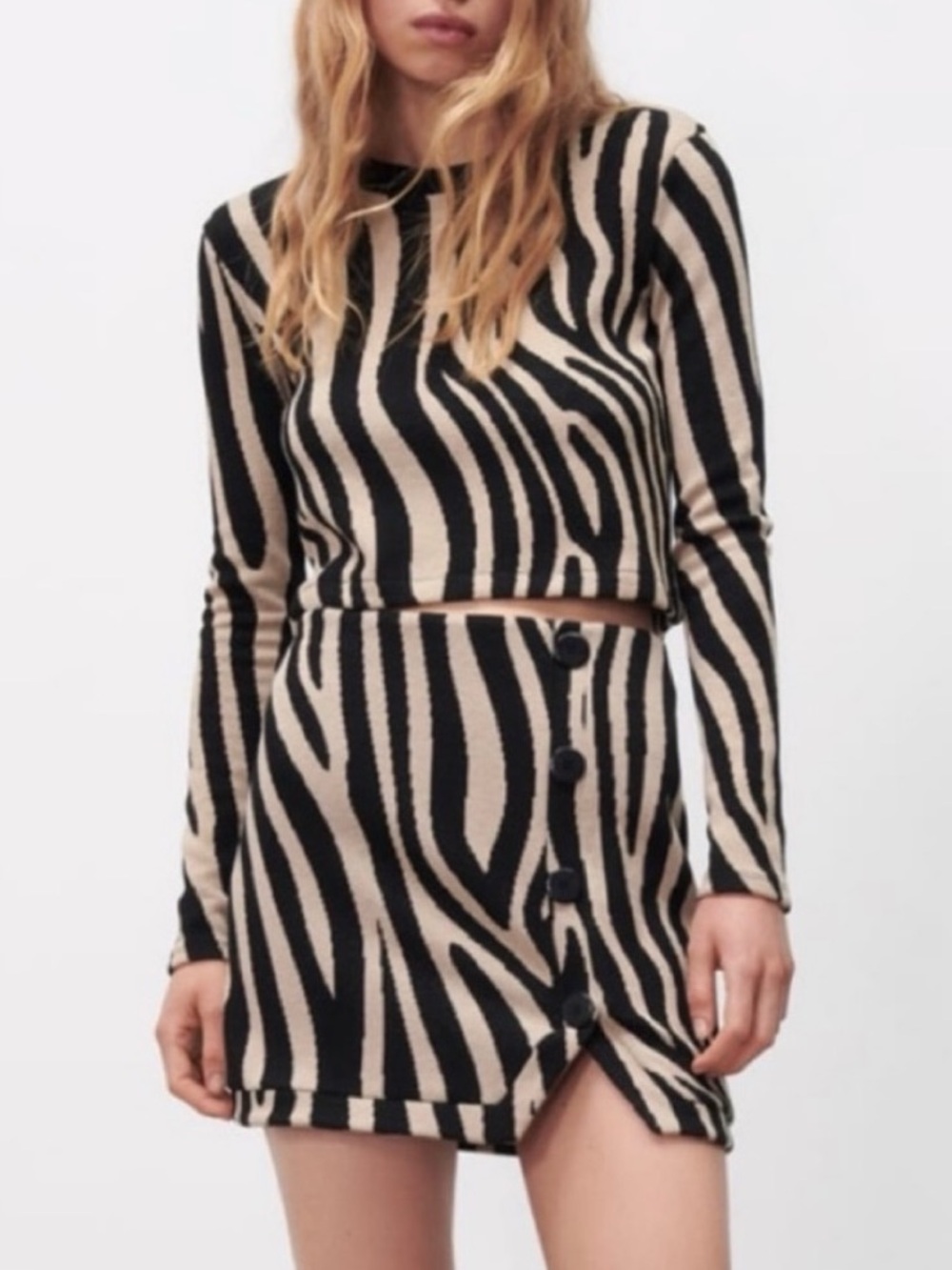 Zara Matching Set! Black and Tan Zebra-Pattern Knit Mini Skirt and Top